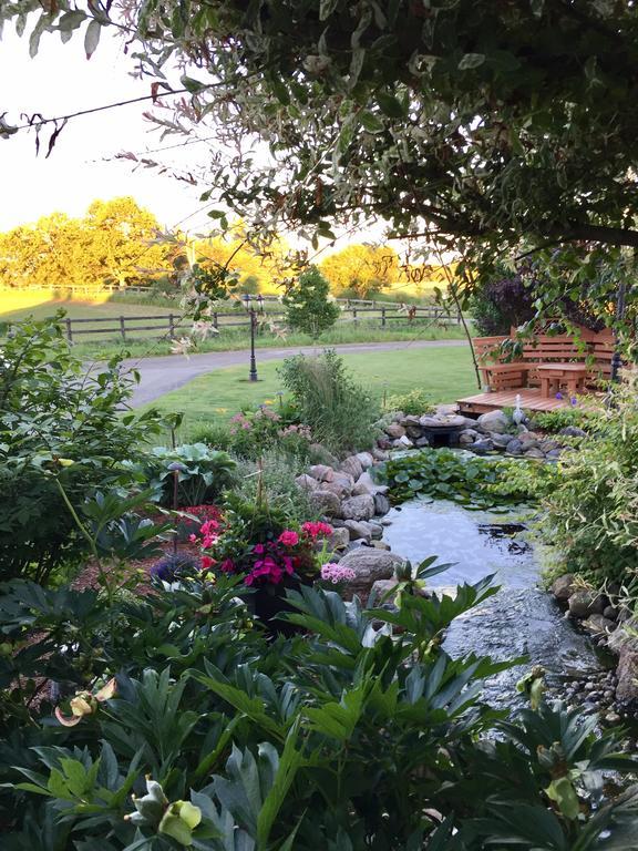 Serenity Ranch Bed & Breakfast Ancaster Luaran gambar
