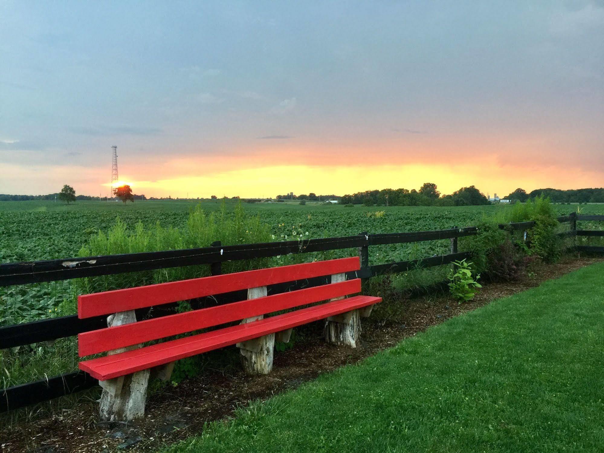 Serenity Ranch Bed & Breakfast Ancaster Luaran gambar